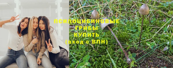 прущие крисы Инта