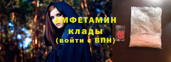 амф Инсар