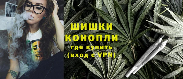 прущие крисы Инта