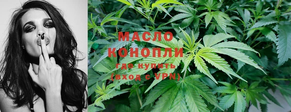 прущие крисы Инта