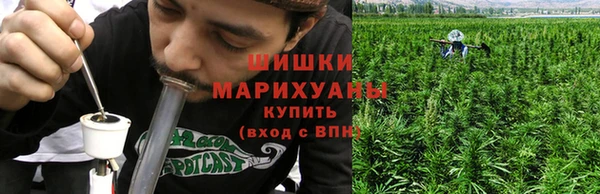 прущие крисы Инта