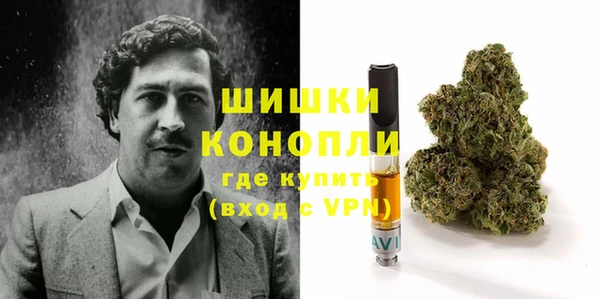 амф Инсар