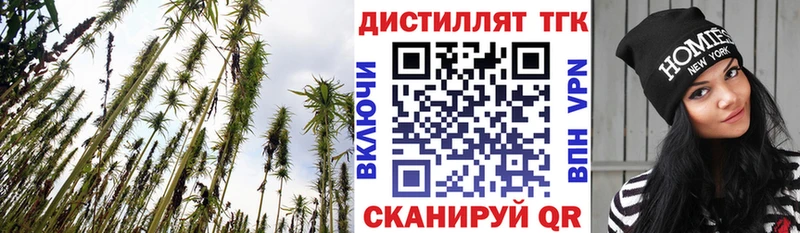 ТГК гашишное масло  Купить где  Нелидово 