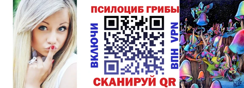 Галлюциногенные грибы Psilocybe  Купить  Нелидово 